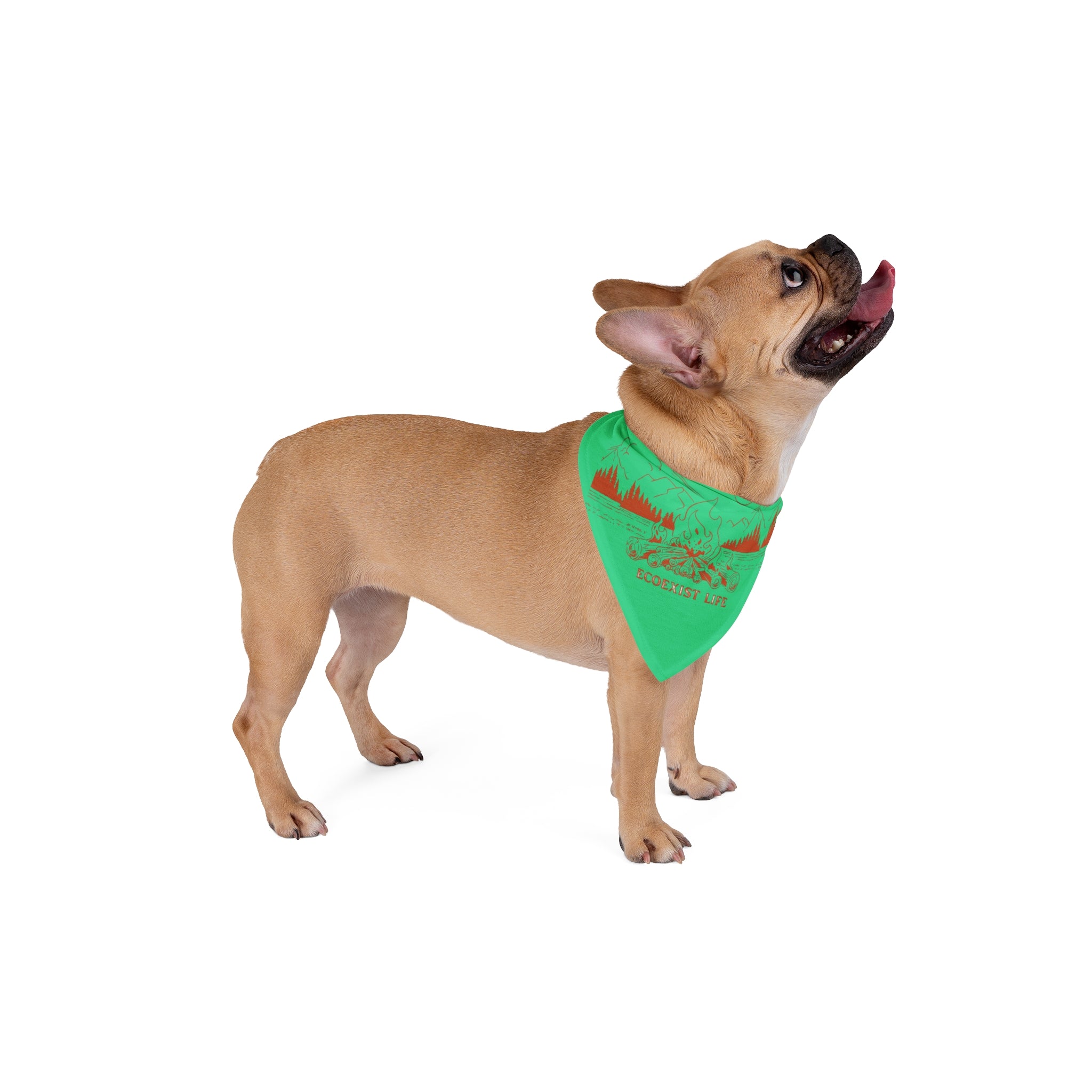 Pet Bandana — Scenic Campfire Dog Bandana-Ecoexist Life